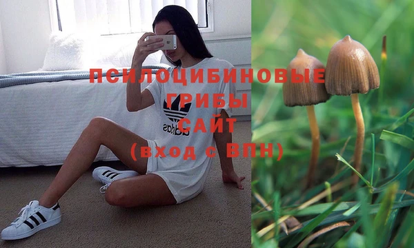 меф Абаза