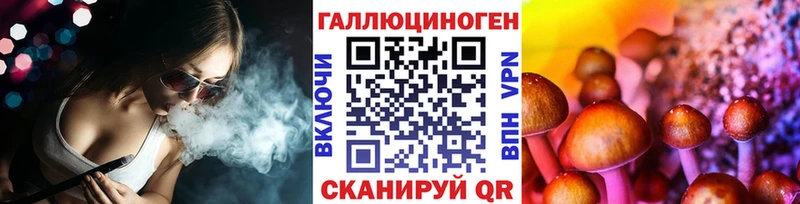 Псилоцибиновые грибы GOLDEN TEACHER  где можно купить наркотик  Александров 